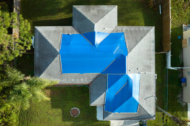 Best Roof Coating Services  in Guntown, MS